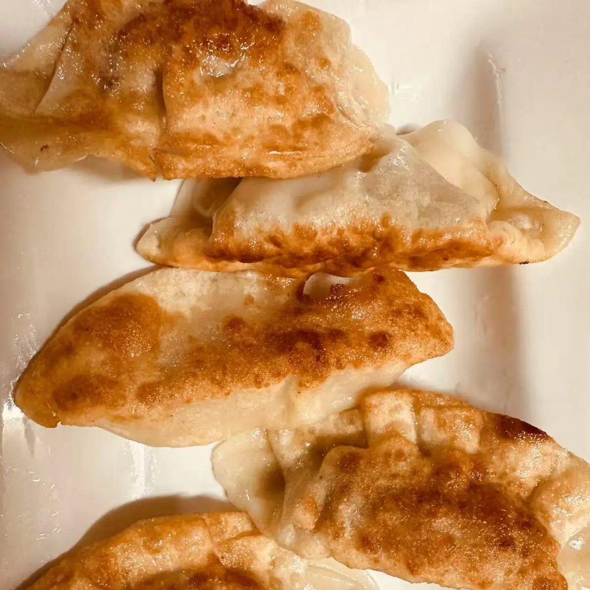 ap5 Pan Fried Dumplings