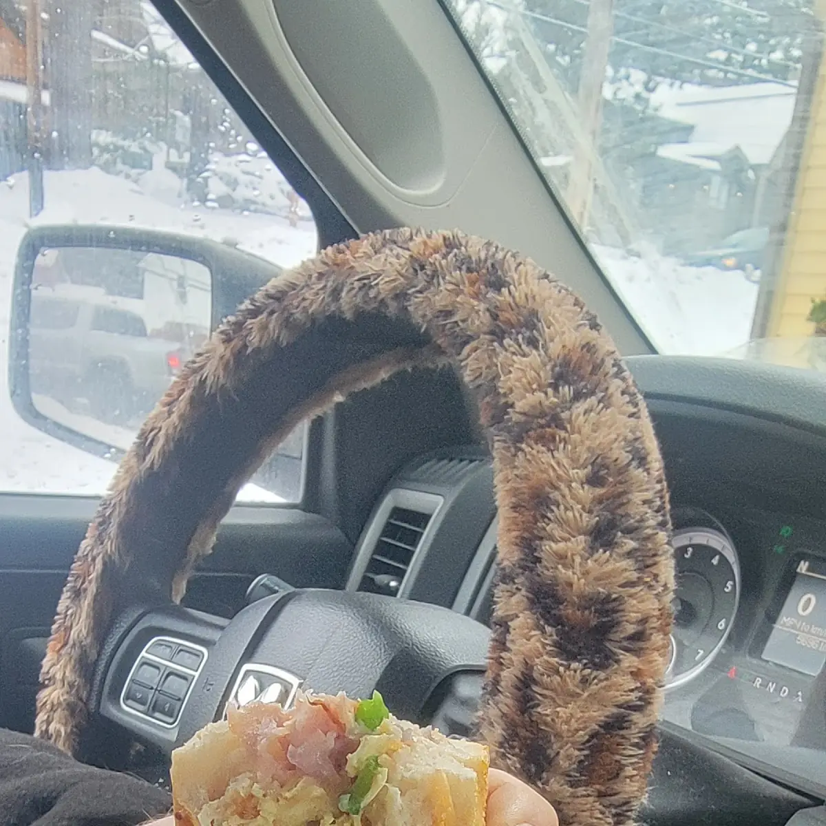 Hot Dog