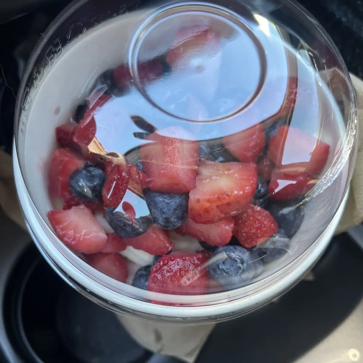 Salted Carmel with Fruit