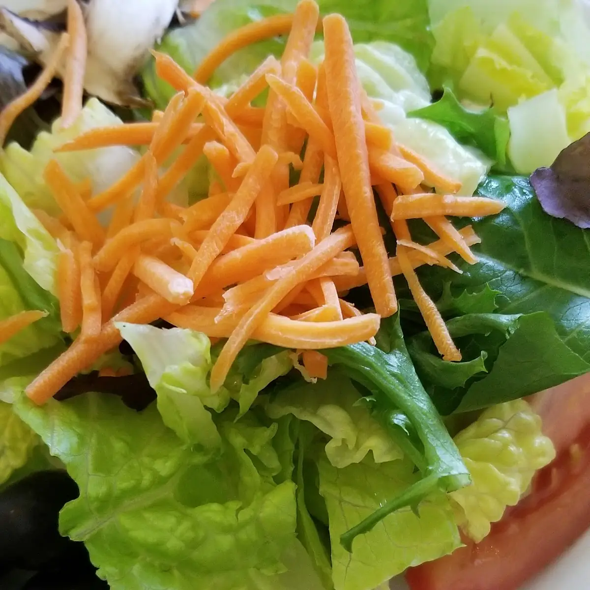 Side Salad
