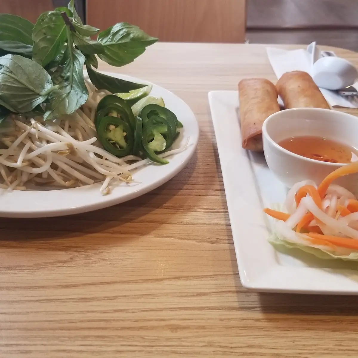 Fried Spring Rolls