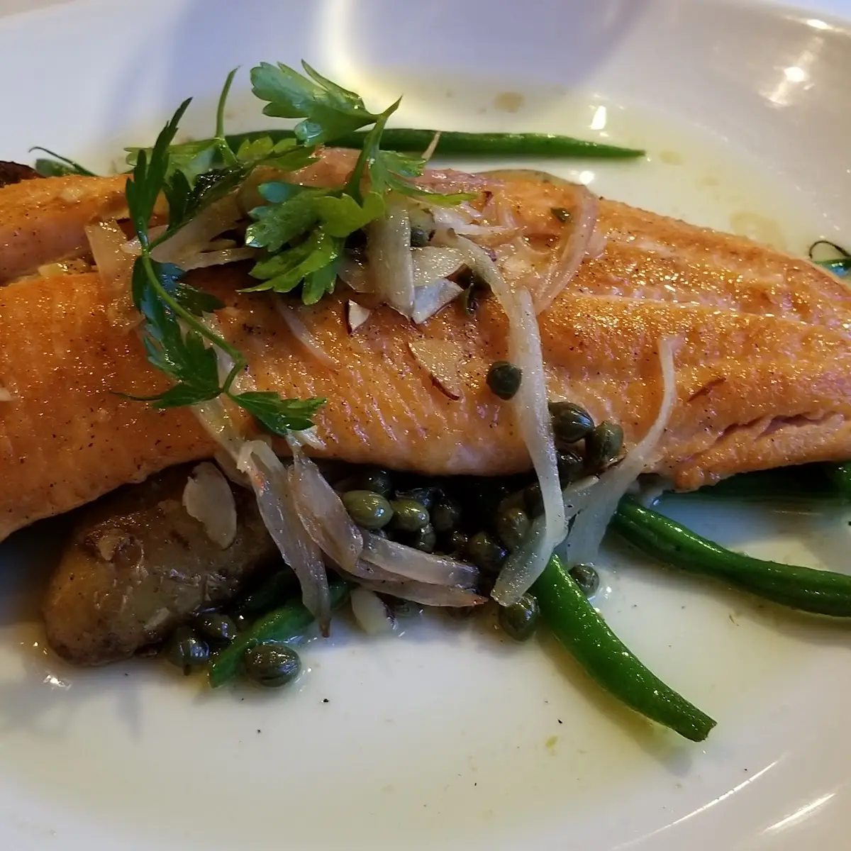Red Ruby Trout