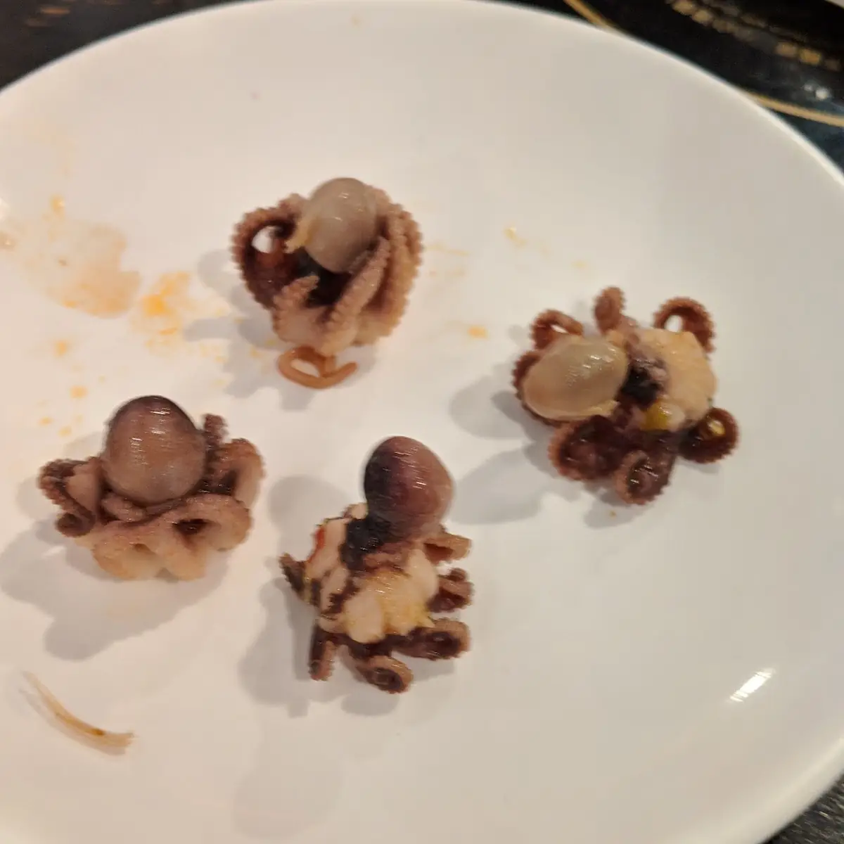 Baby Octopus