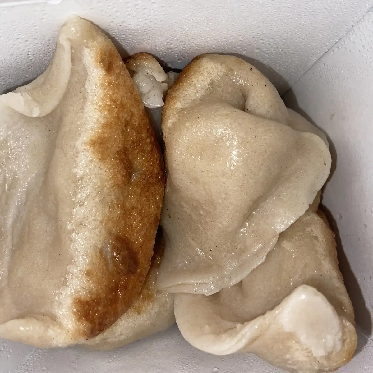 Fried Chicken Dumplings