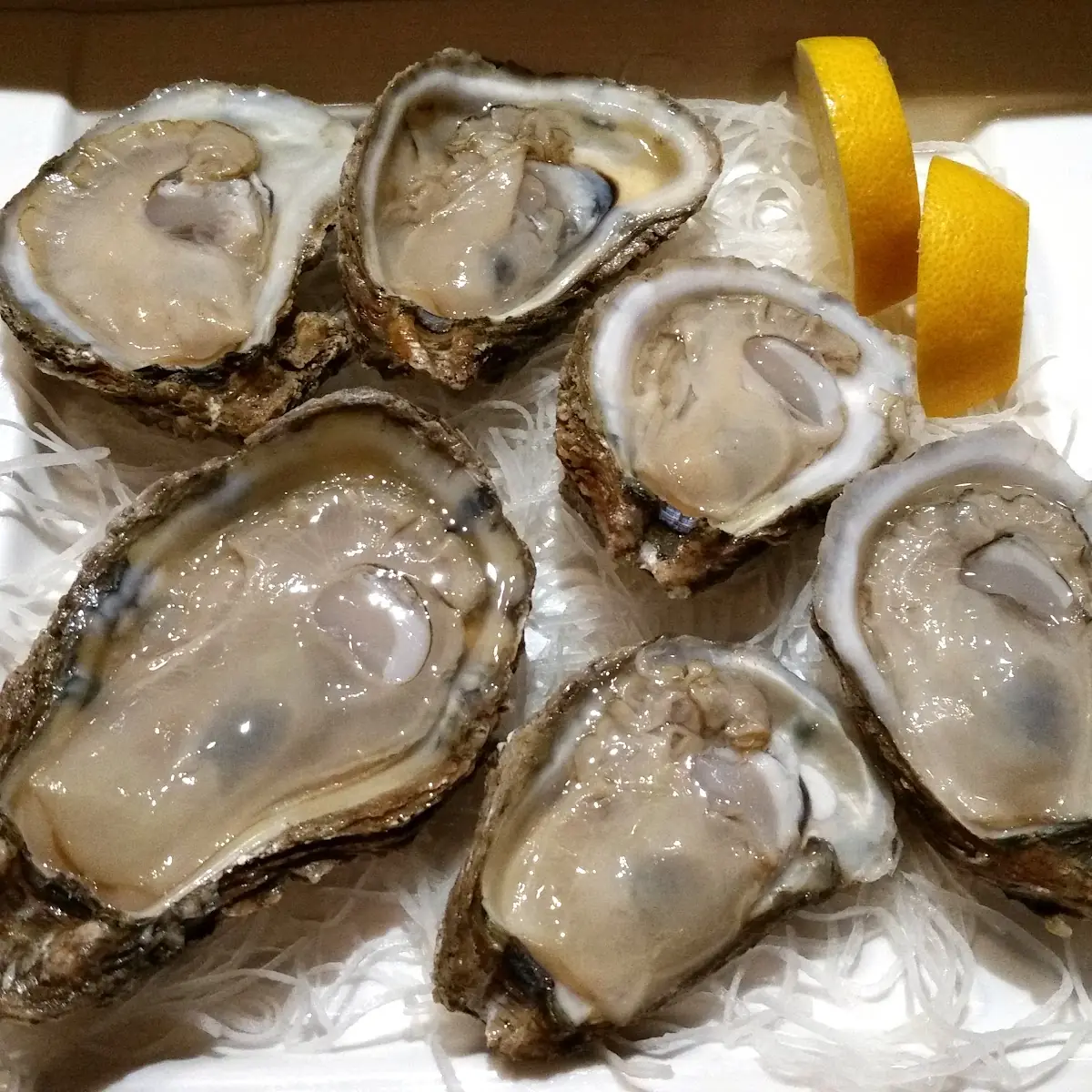 Oysters on the Half Shell