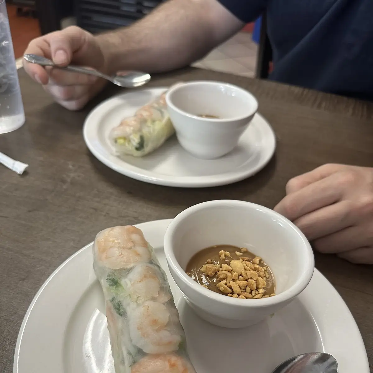 Fresh Veggie Spring Roll