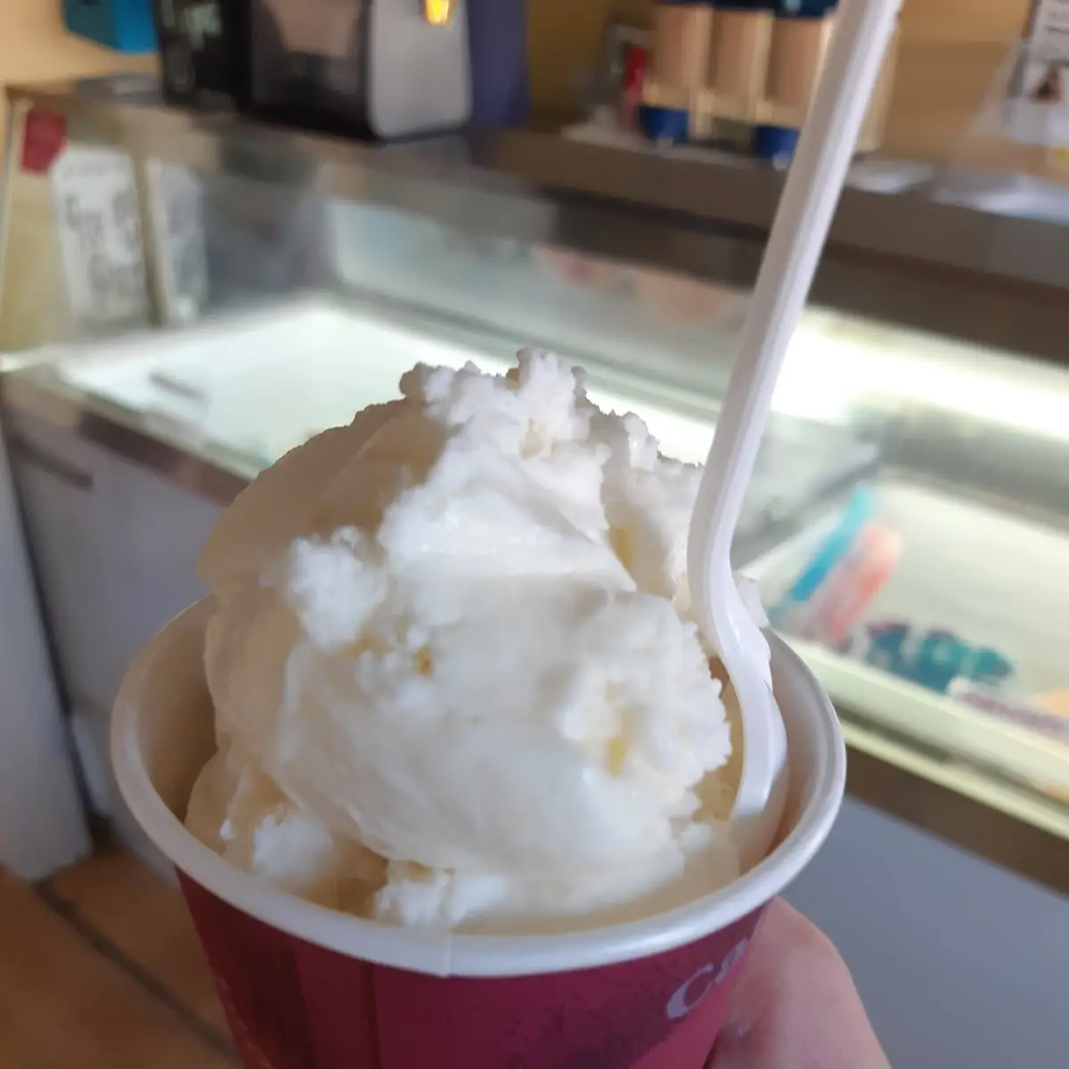 Vanilla Ice Cream