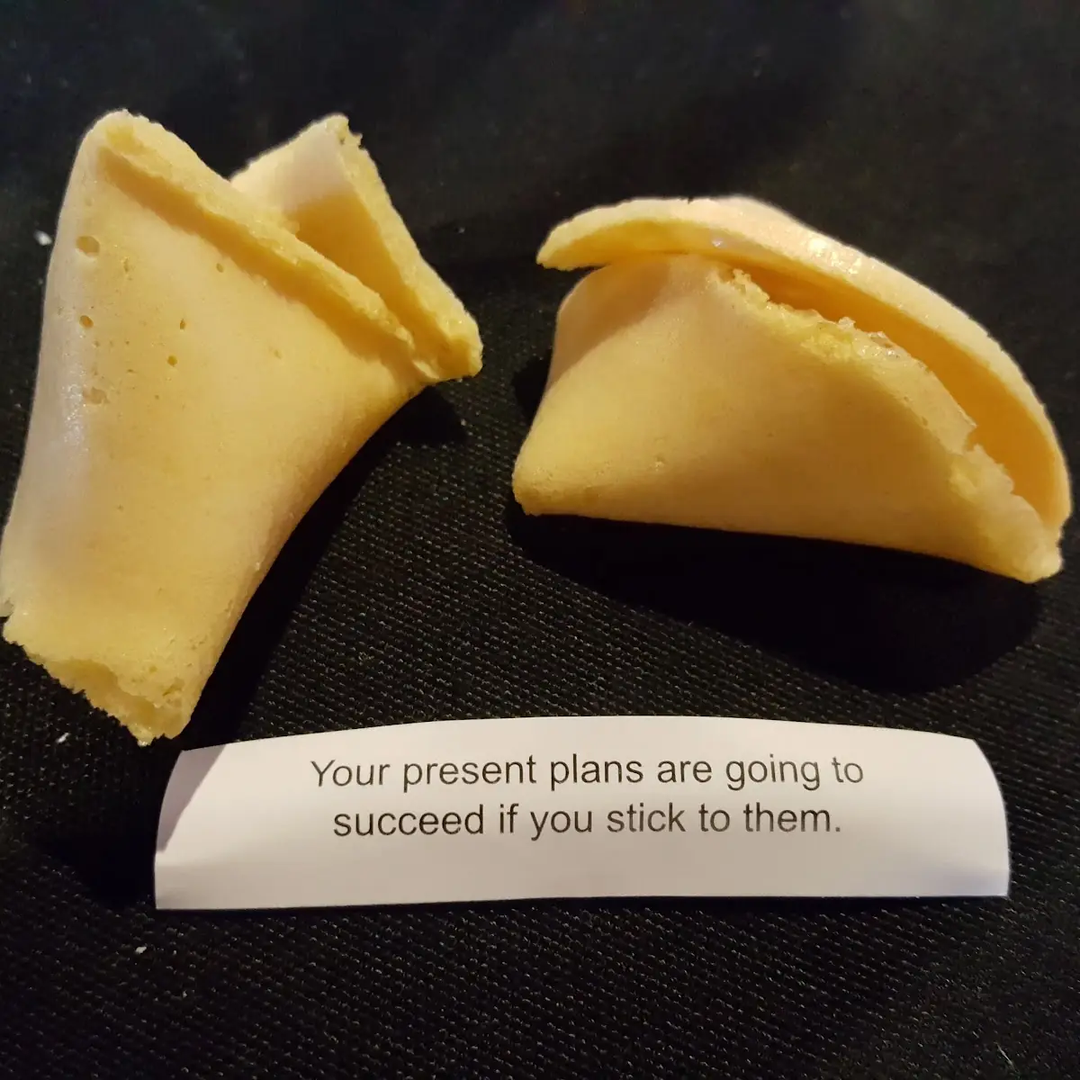 Fortune Cookie
