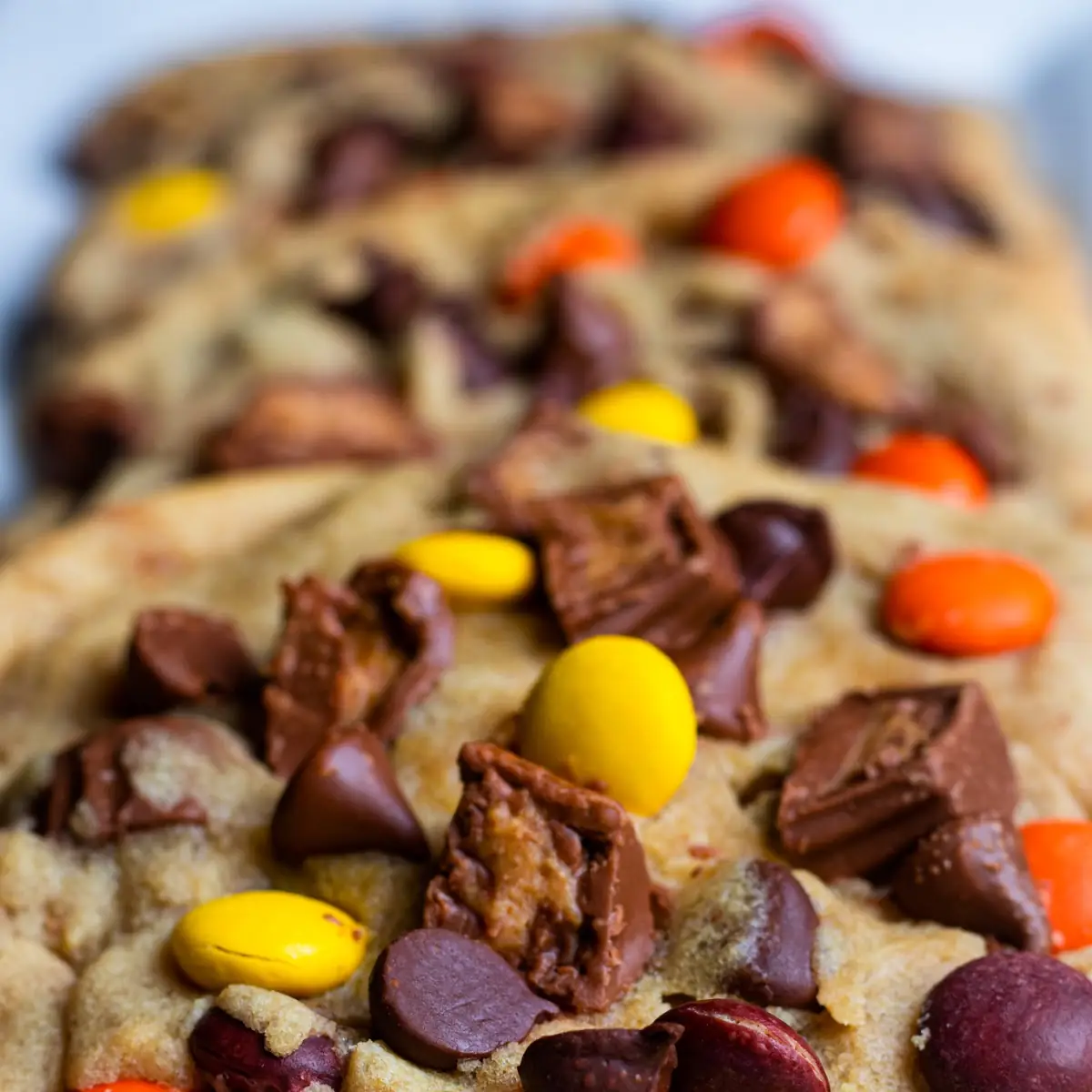 Double Choc Chip