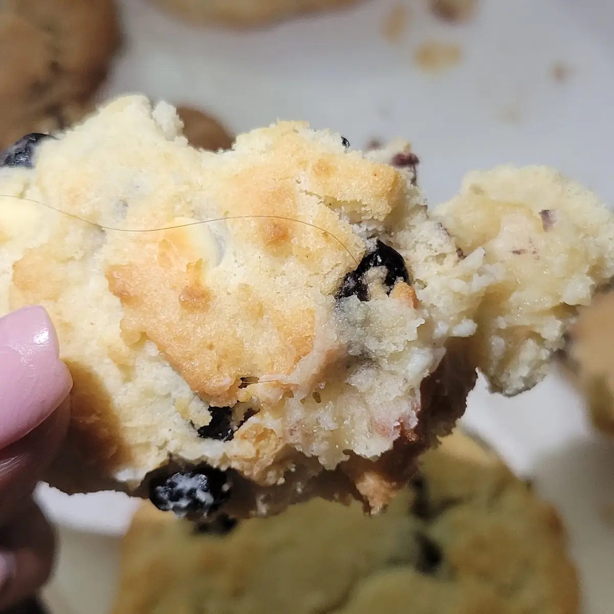 Hair in Cookie