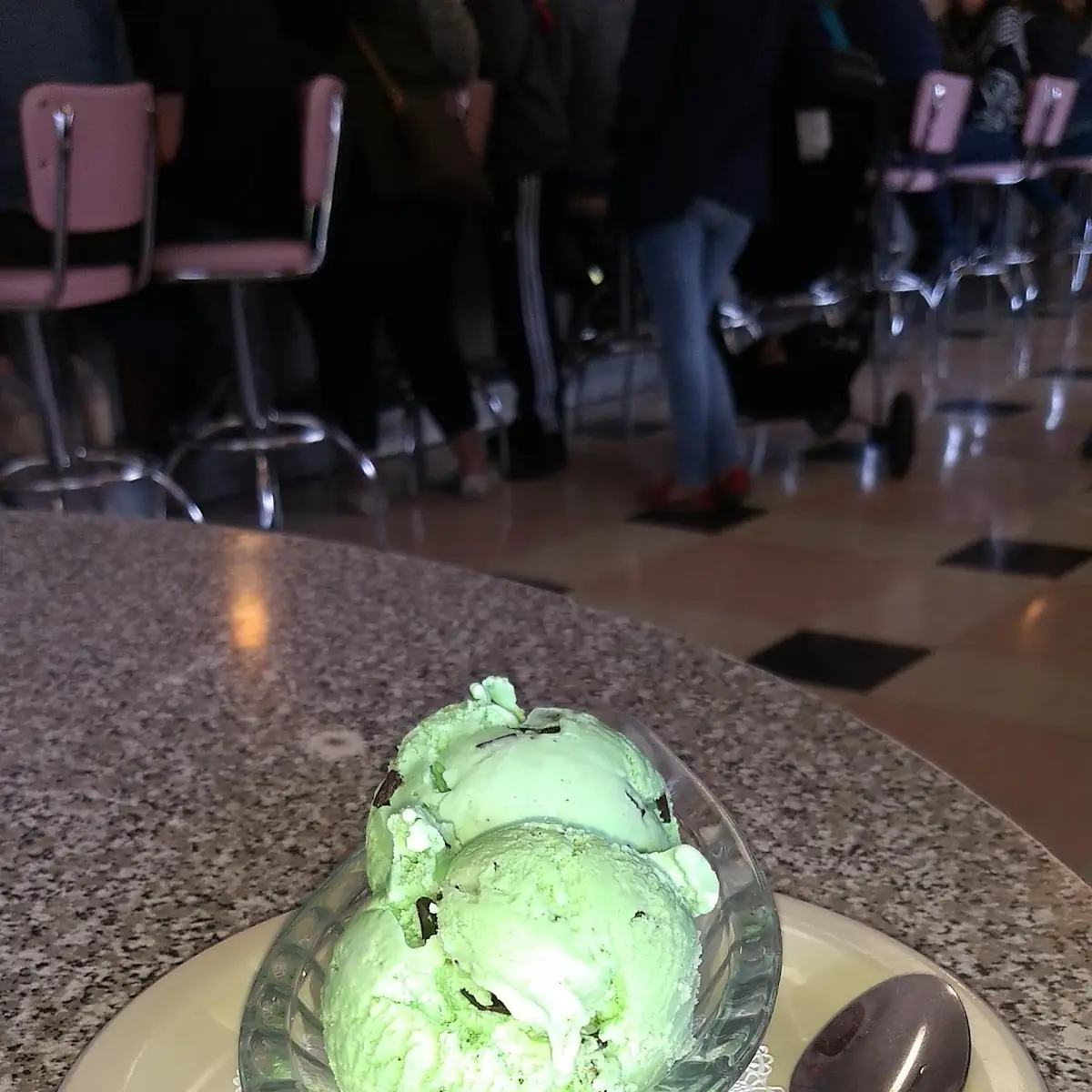 2 Scoops Mint Chocolate Chip