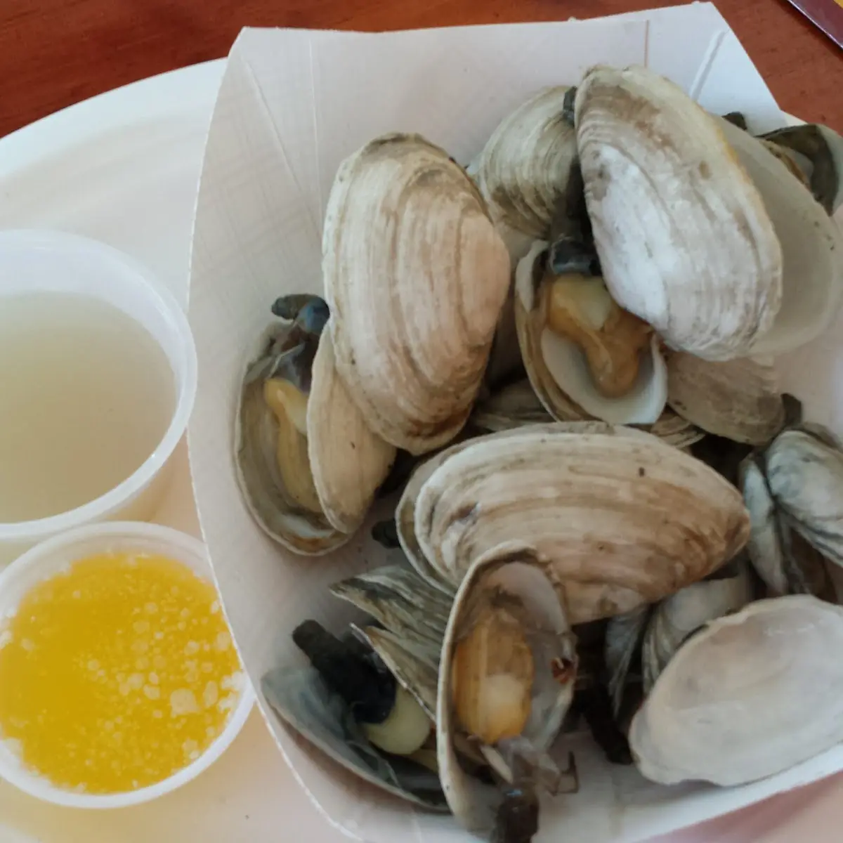 Steamed Clams