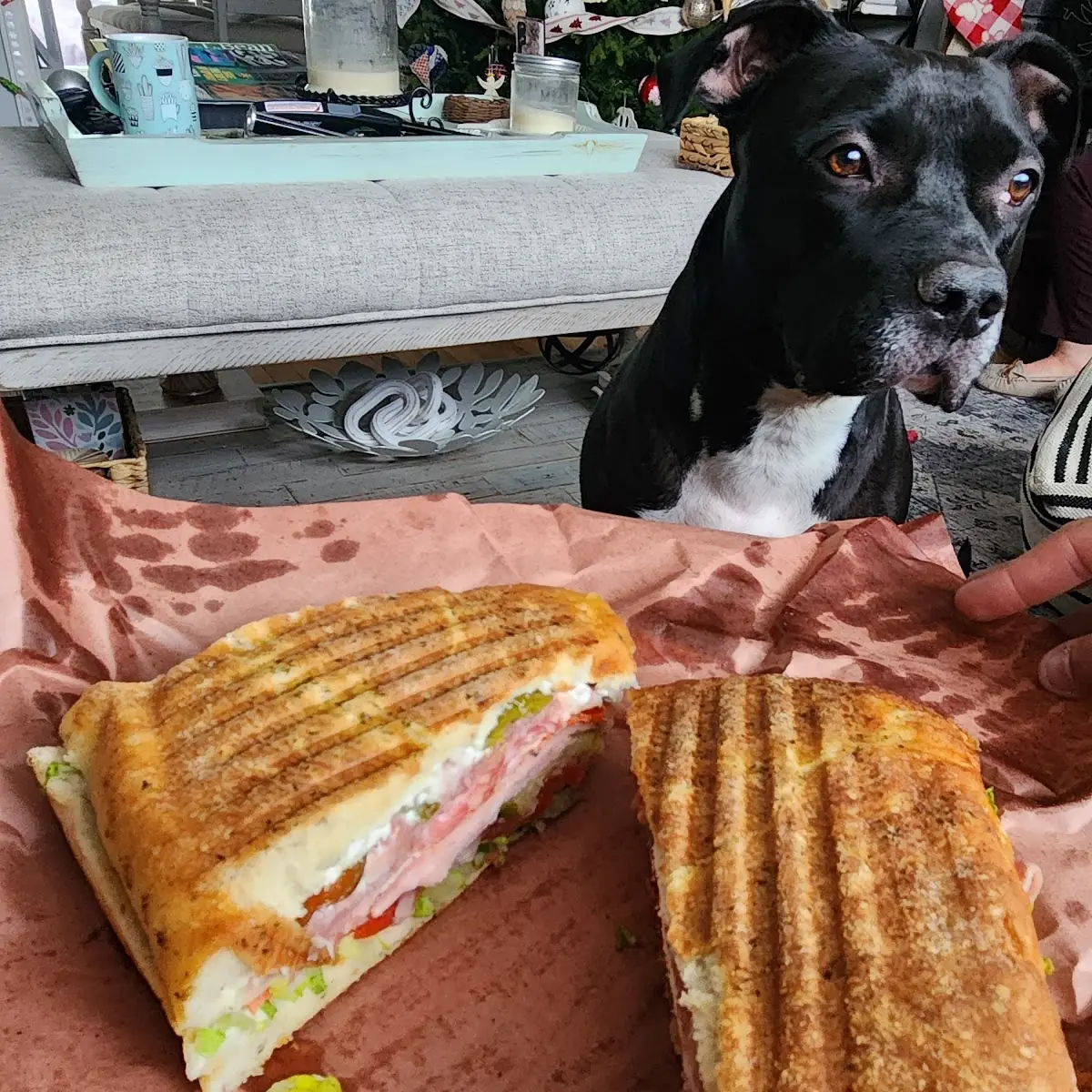 Cuban Sandwich