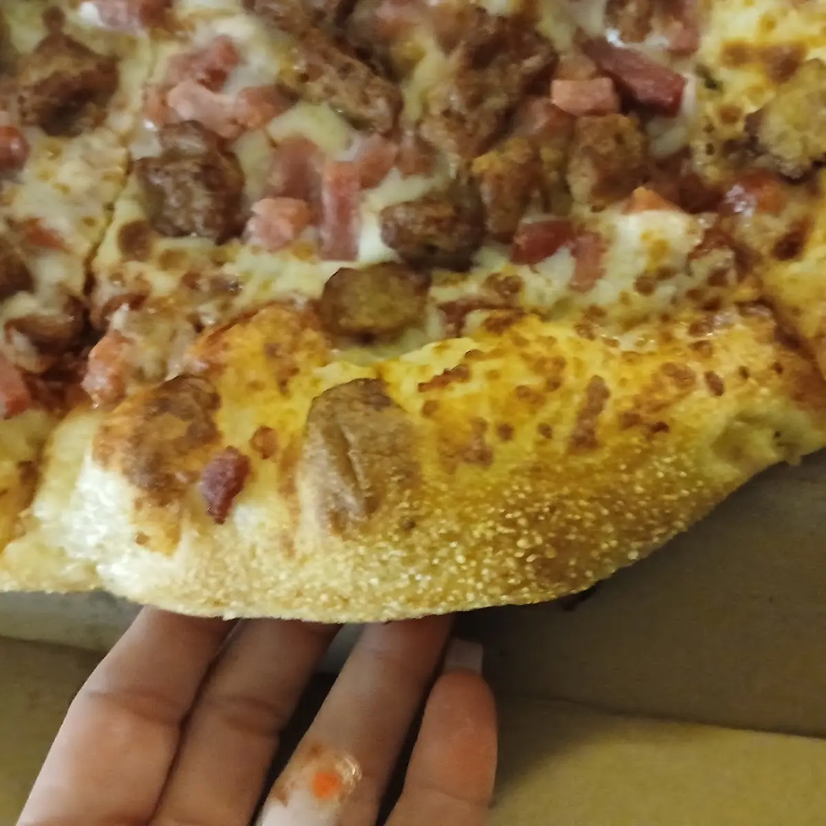 Meat Pizza