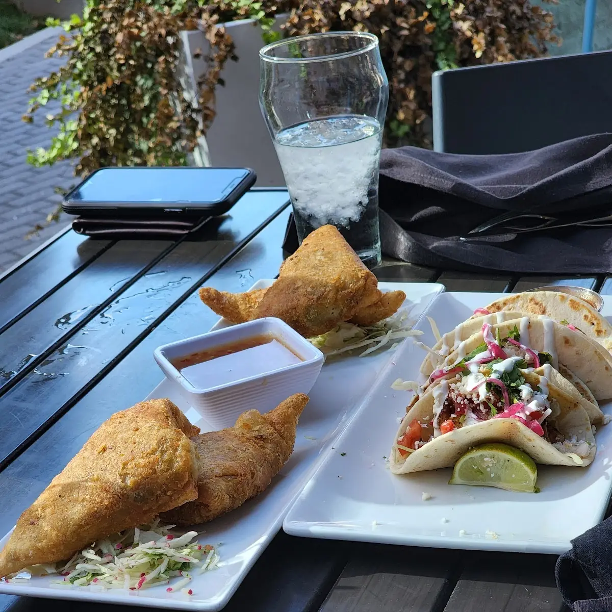 Spicy Chicken Samosas