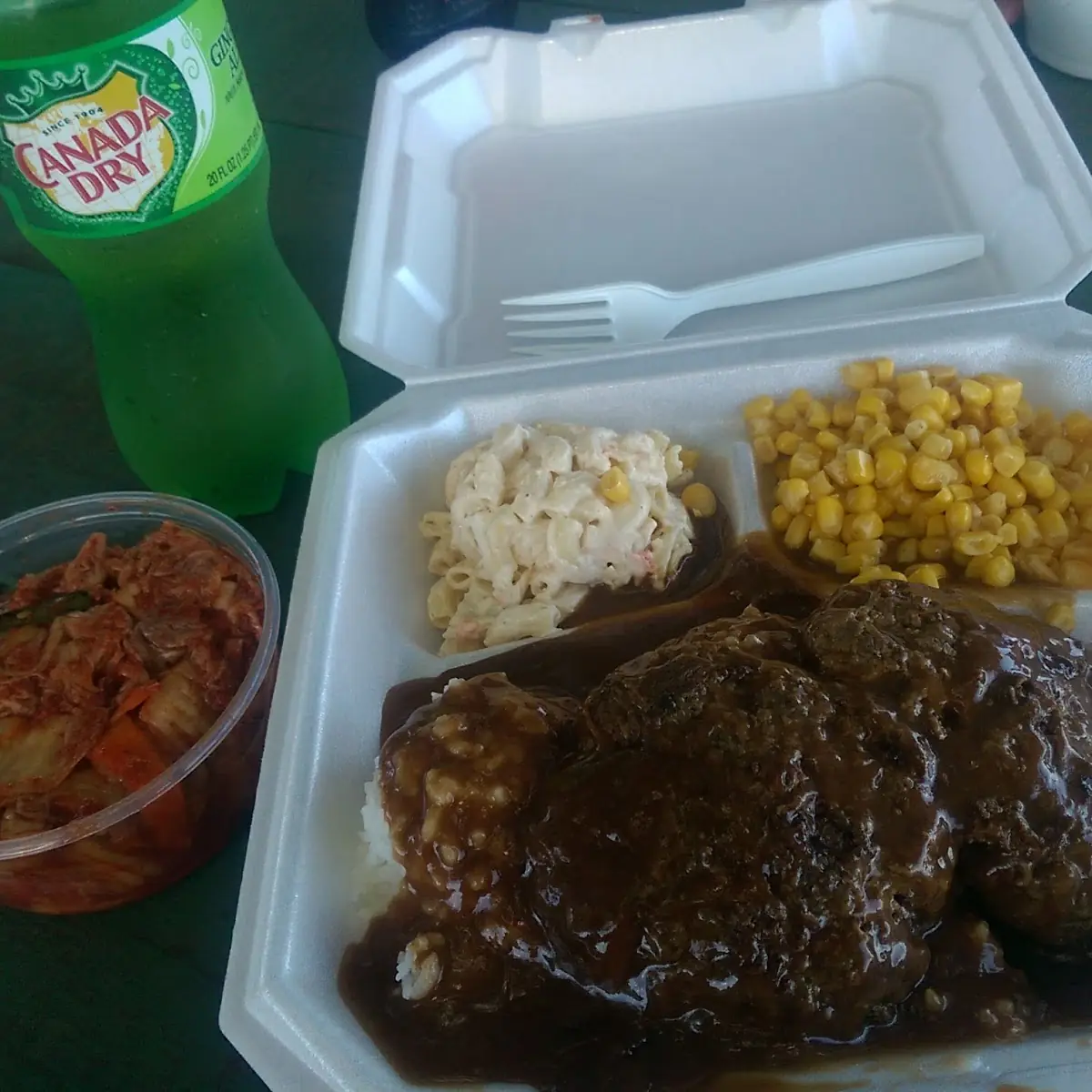 Hamburger Steak