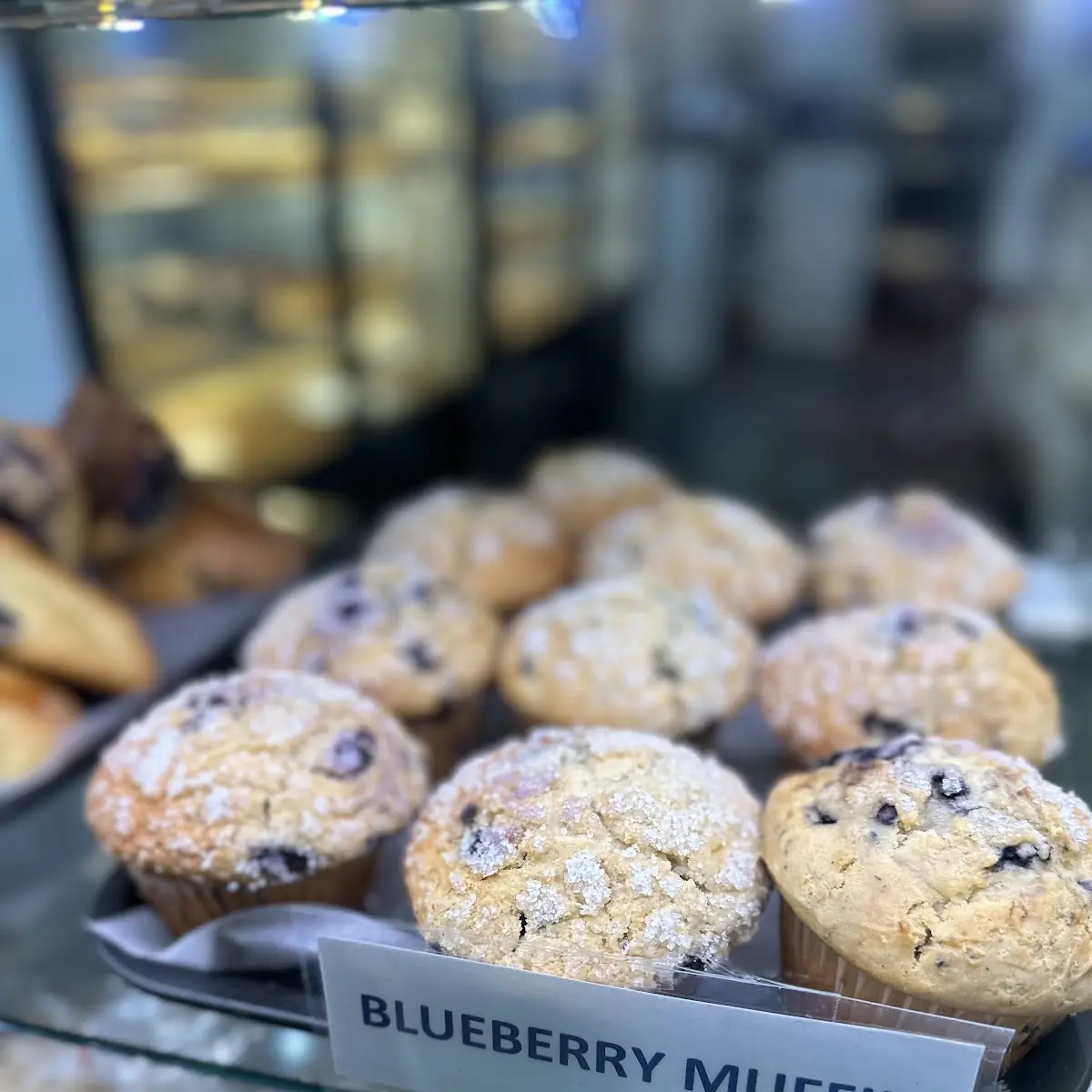 Blueberry Muffin