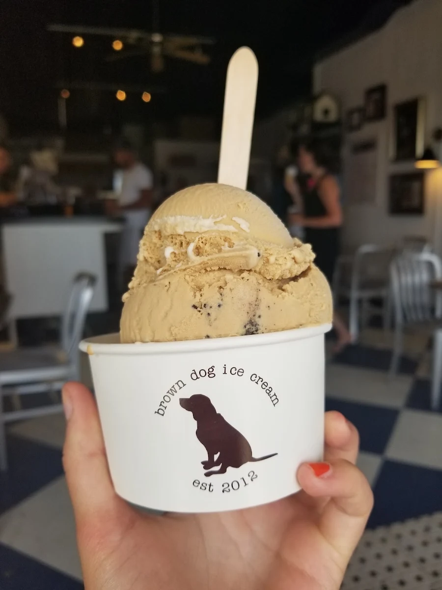 Chocolate Ice Cream