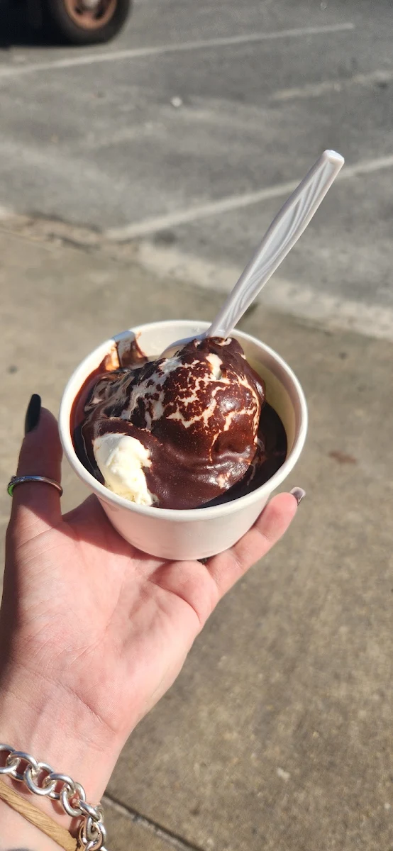 Mint Chocolate Chip with Hot Fudge