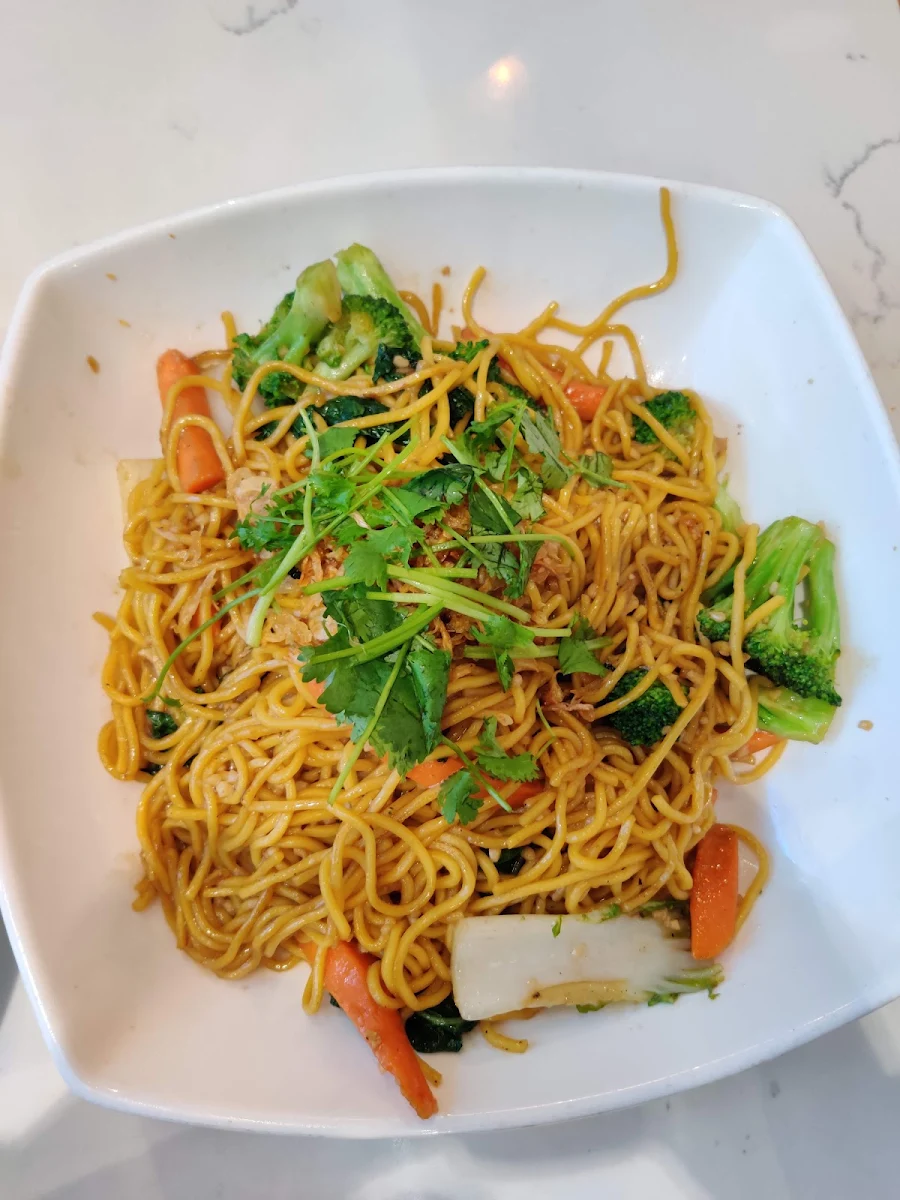 Vegetarian Soba Noodles