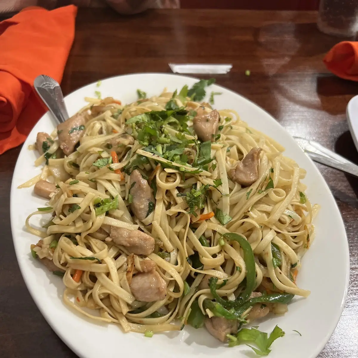 Chicken Noodles