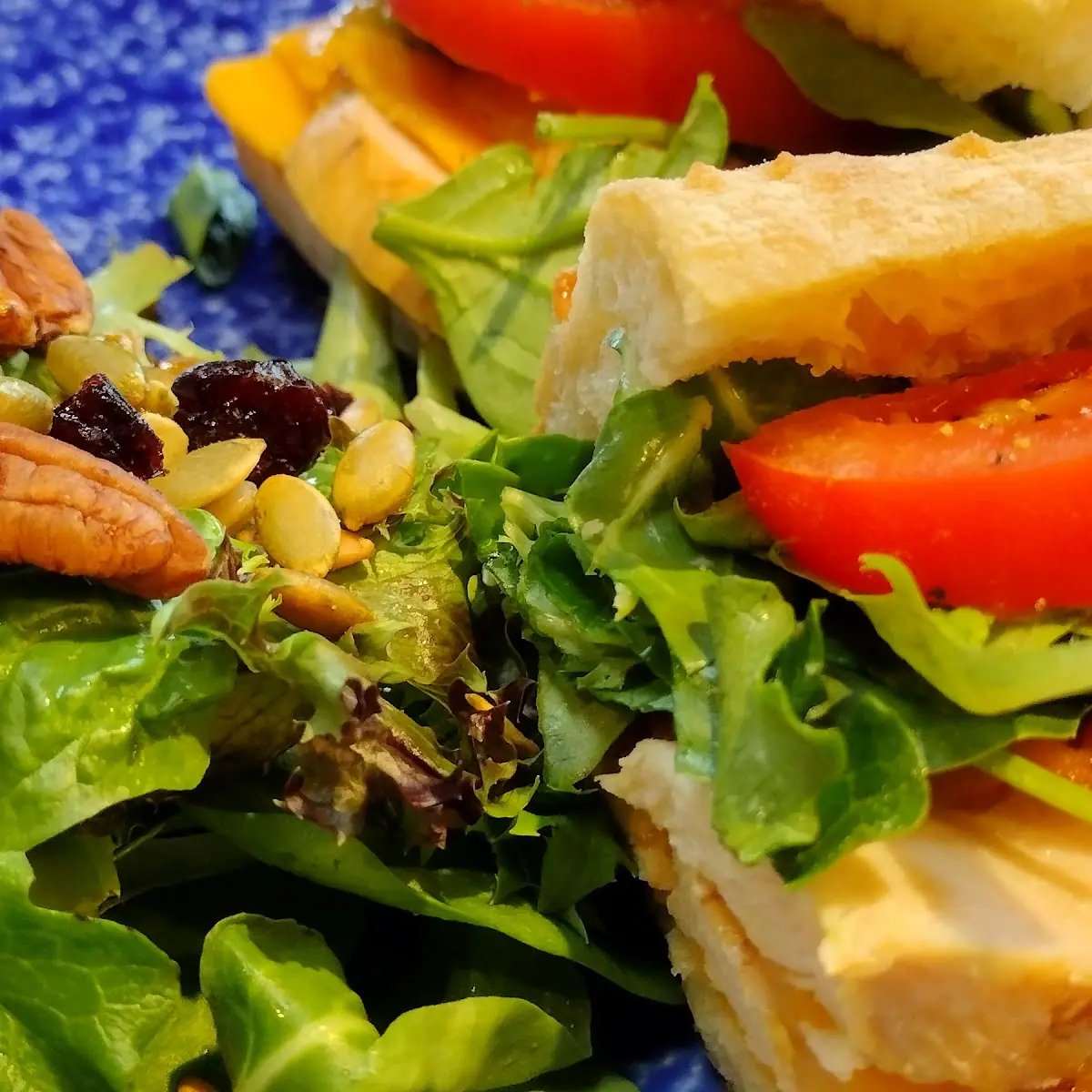 Turkey Cheese Sandwich and Salad