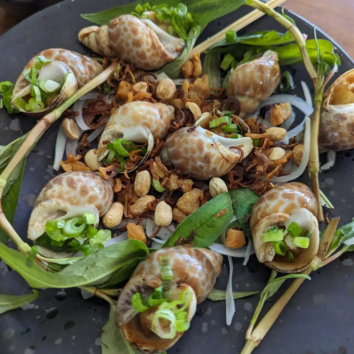 Coconut Milk Escargot Ốc Len Xào Dừa
