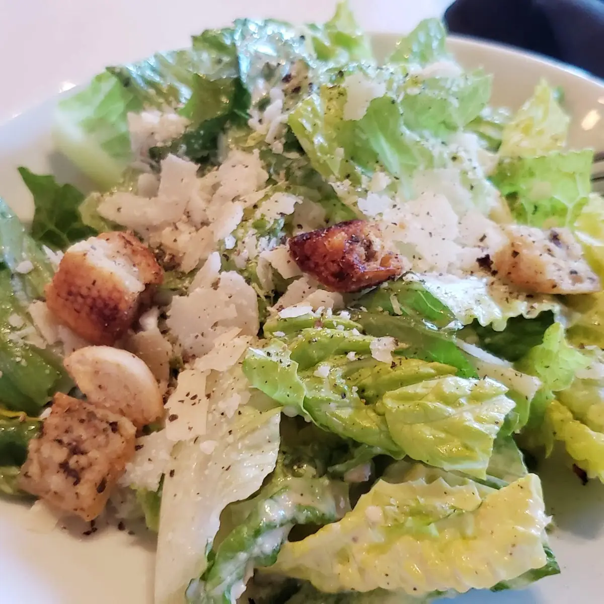 Caesar Salad Full Size