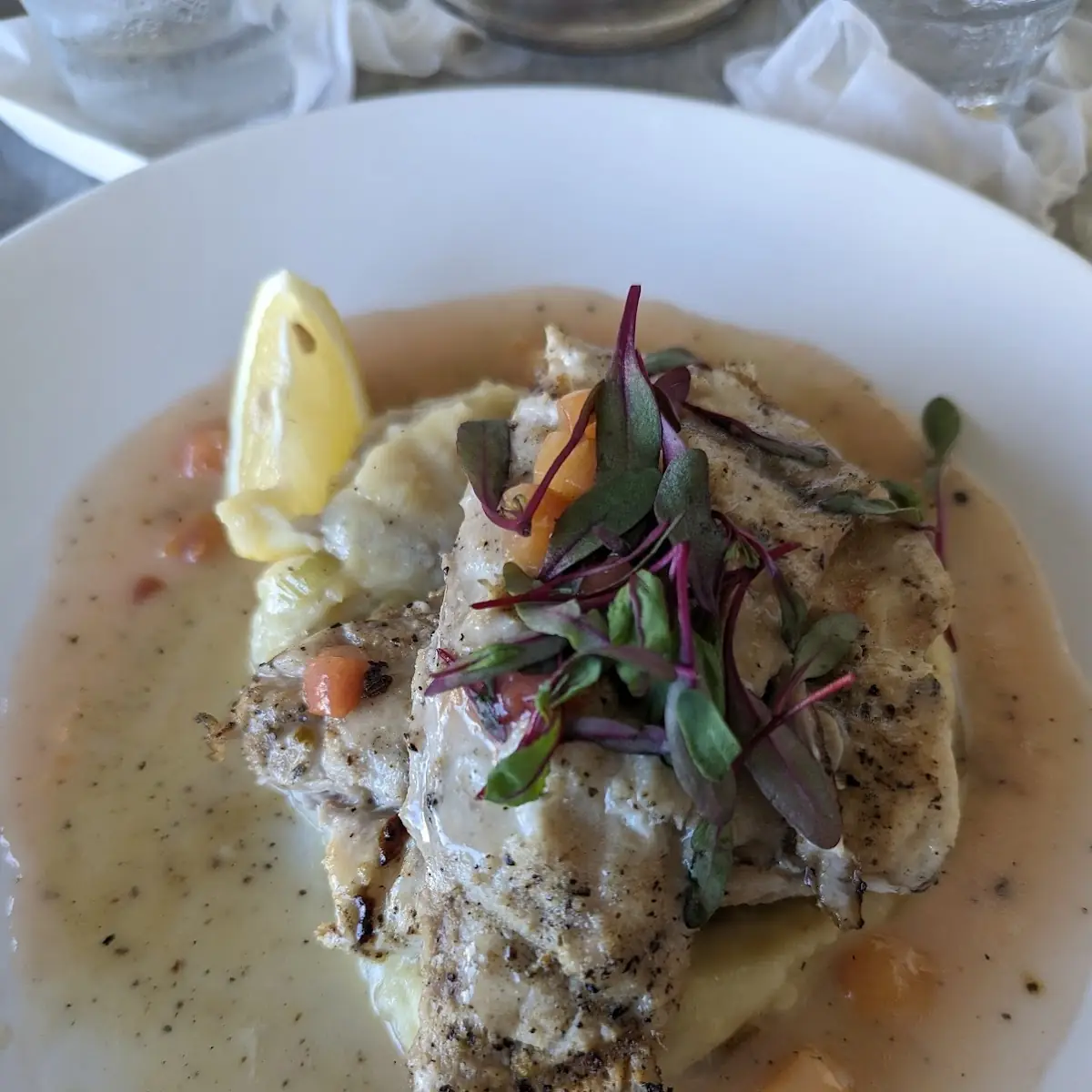 Red Snapper