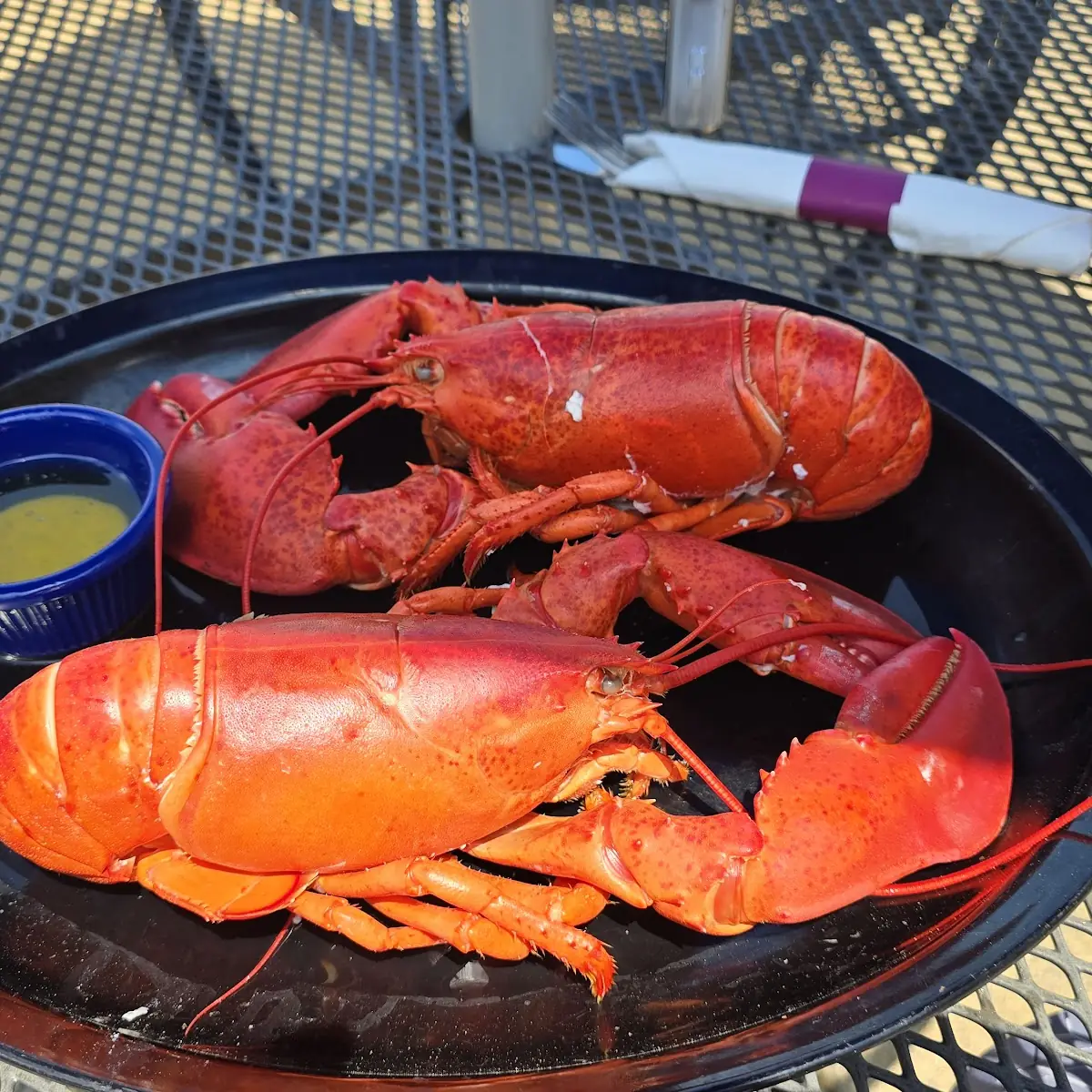 Twin Lobster Dinner