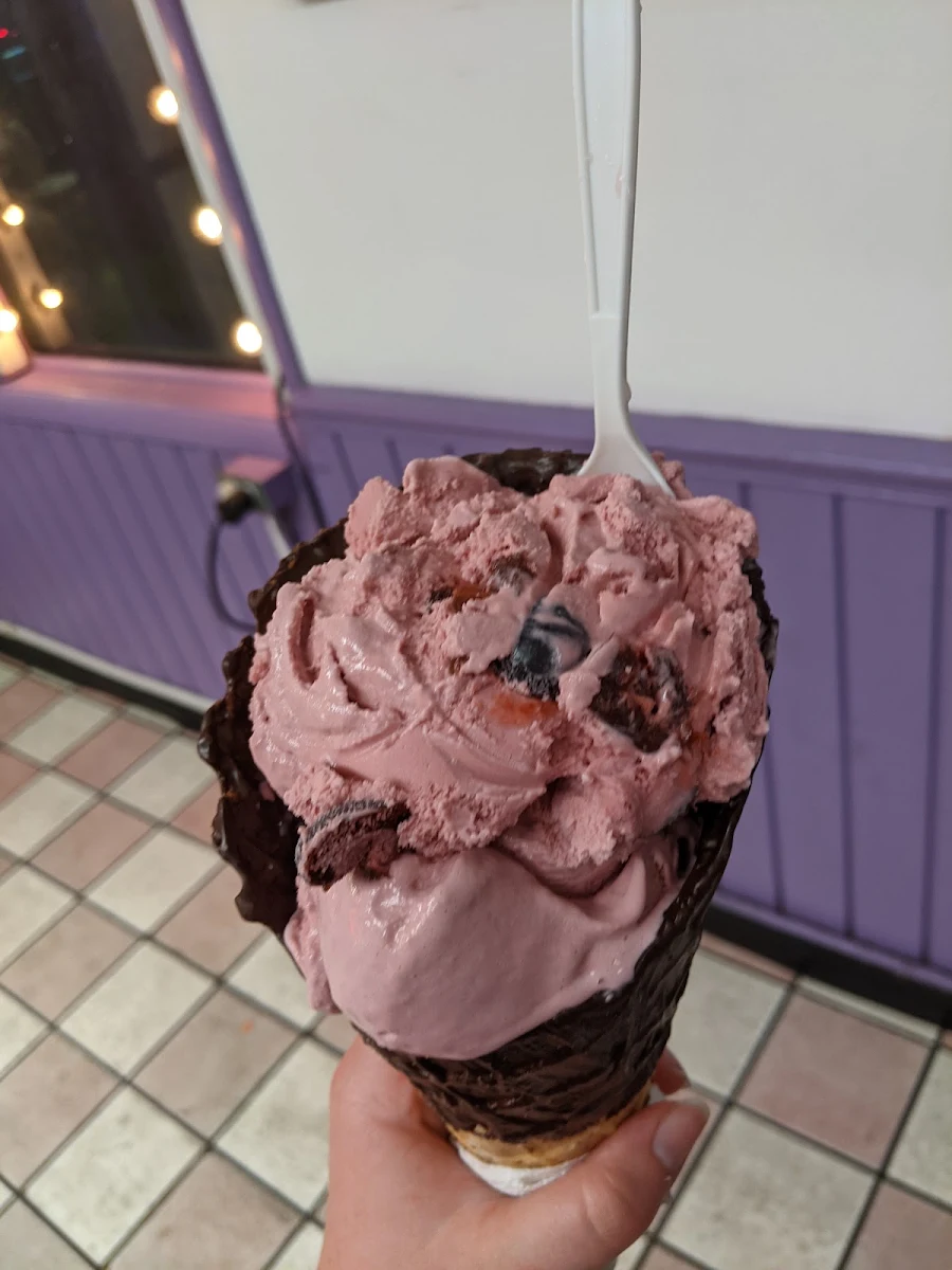 Black Cherry in a Big Olaf Cone