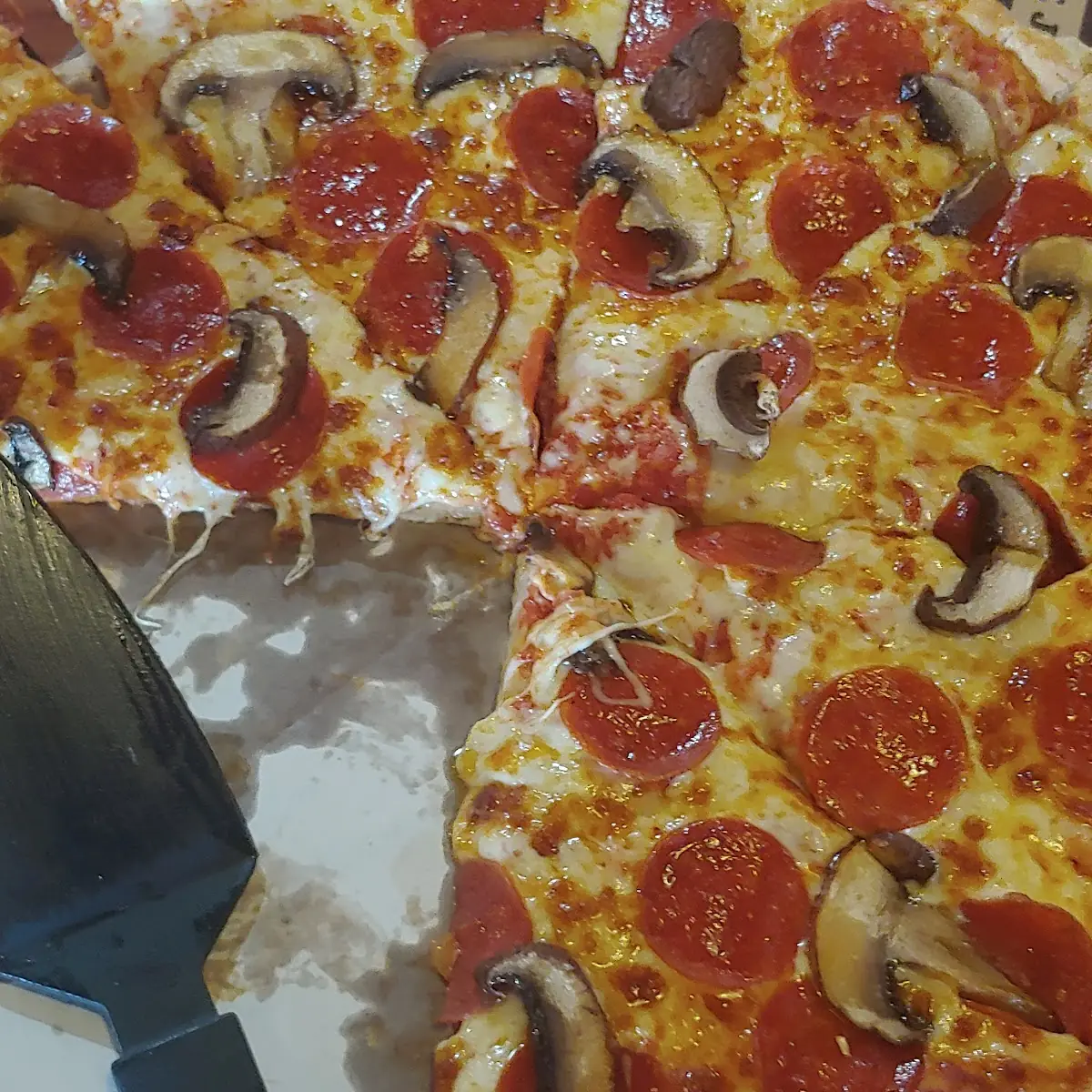 Pepperoni and Mushroom Pizza