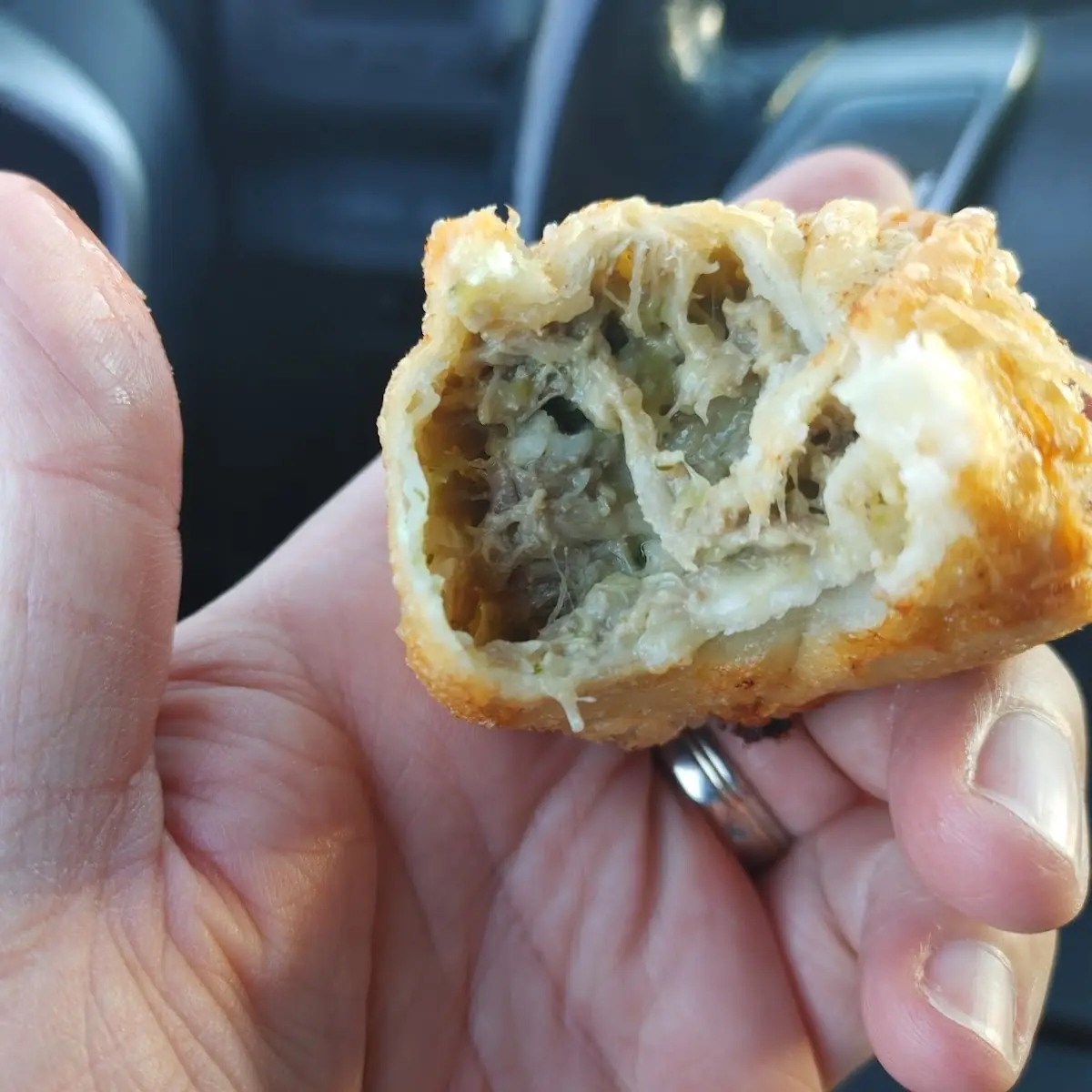 Puerco En Salsa Verde Empanadas