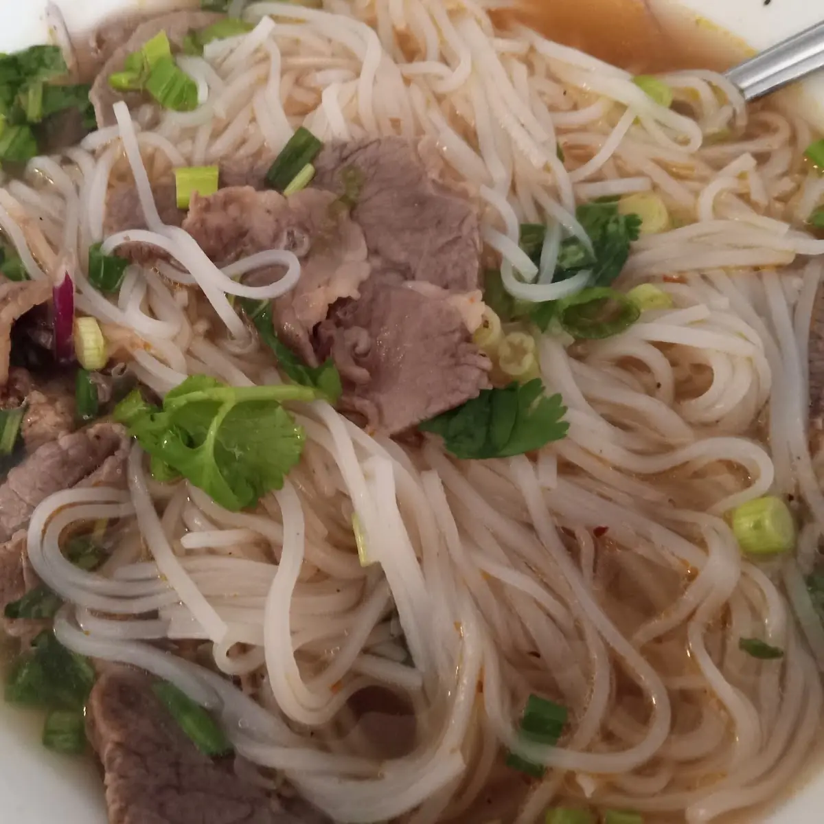 PHỞ GÀ /  CHICKEN PHO