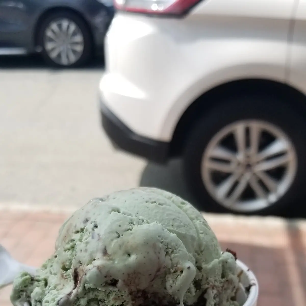 Mint Chocolate Chip