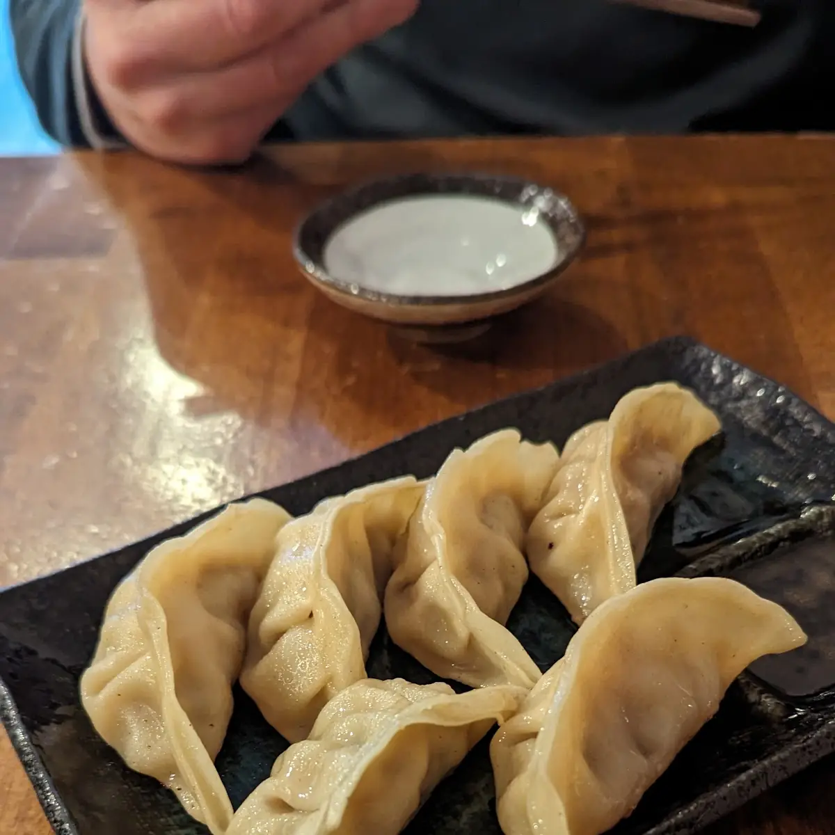 Vegetable Gyoza