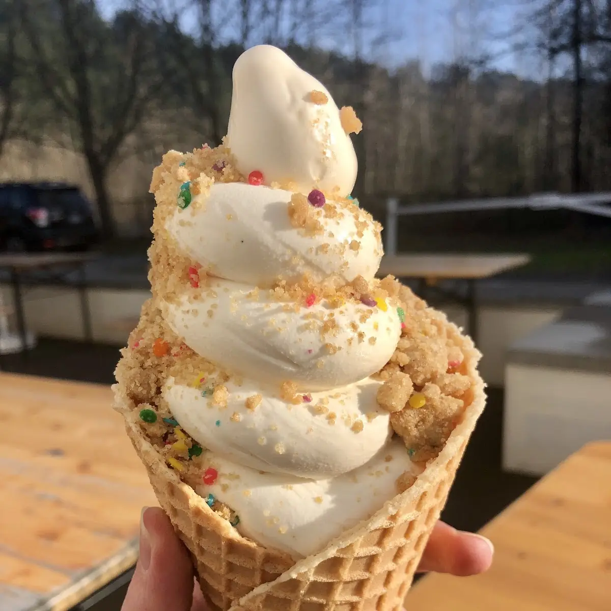 Soft Serve Cone with Maple Dust