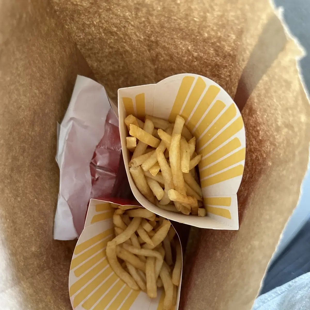 World Famous Fries