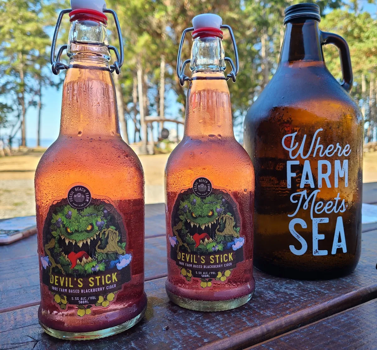 Devil's Stick Blackberry Cider, Fossil Beach Farm