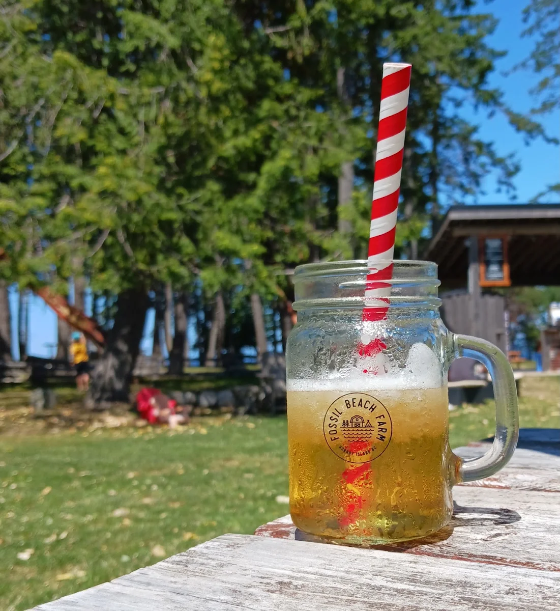 Frozen Apple Juice, Fossil Beach Farm