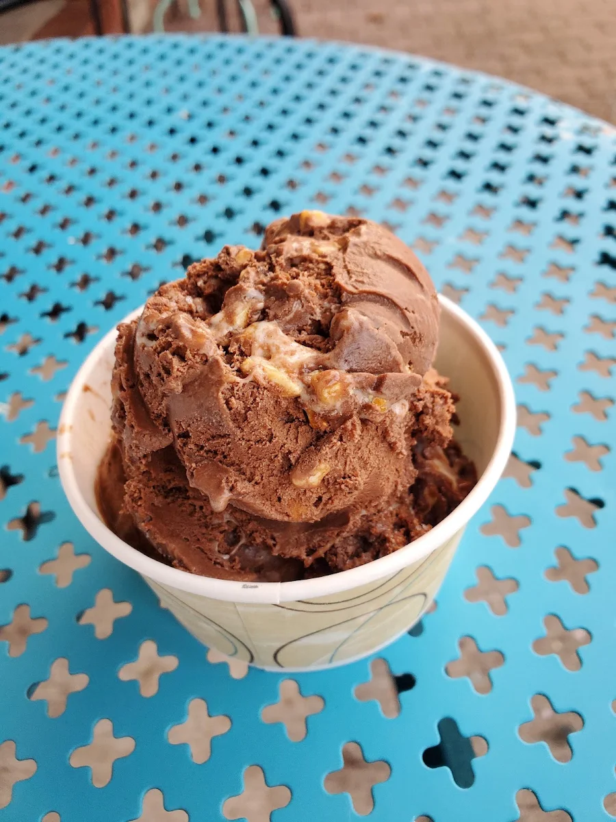 Chocolate Peanut Butter Ice Cream