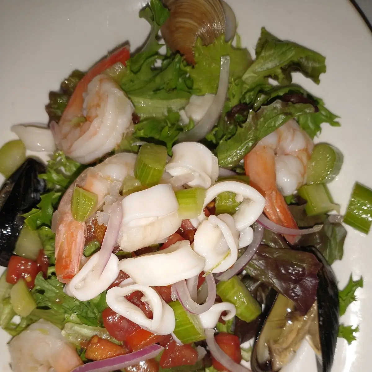 Seafood Salad
