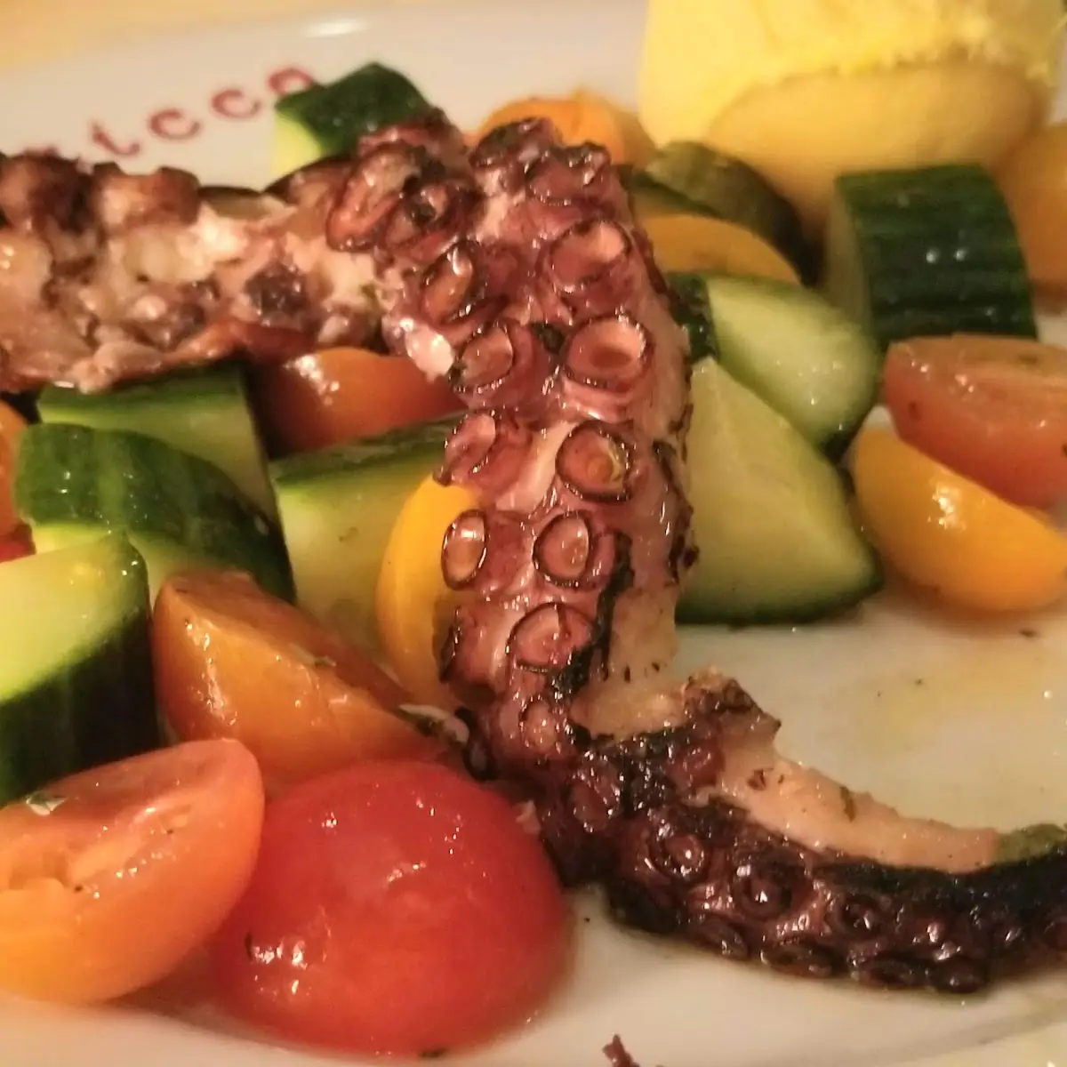 Grilled Octopus Salad