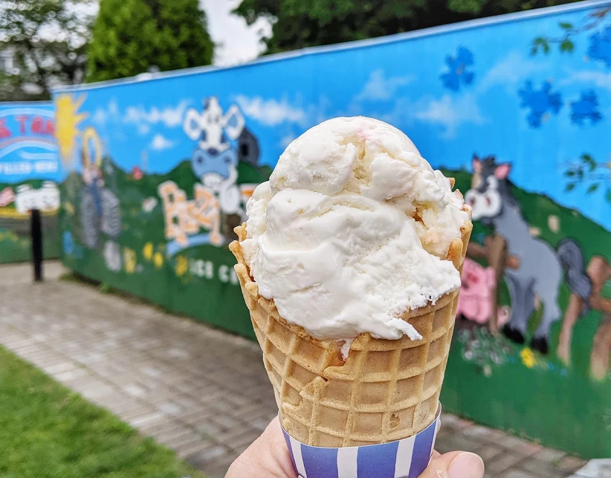 Coconut Regular Ice Cream Cone