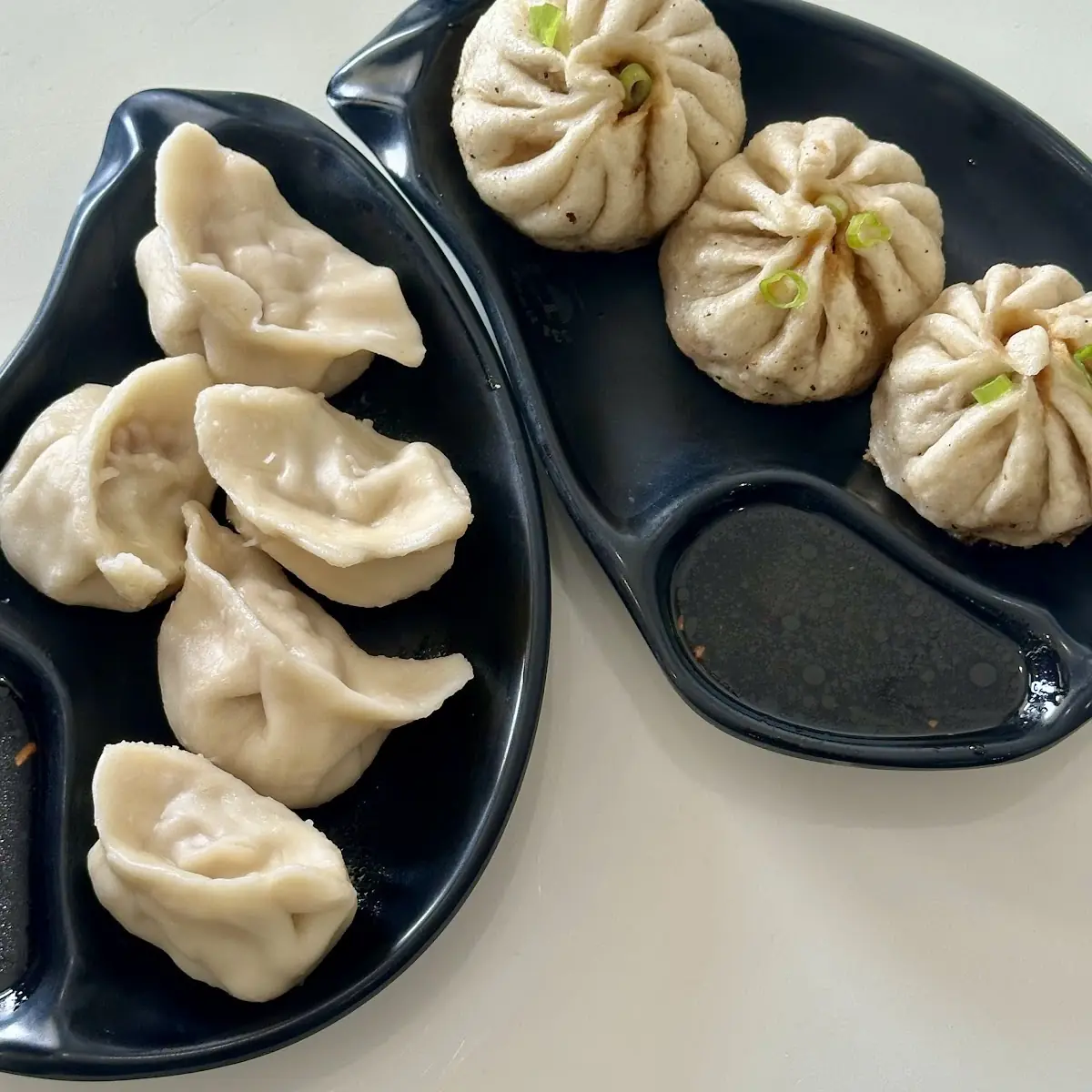 Pan Fried Dumplings