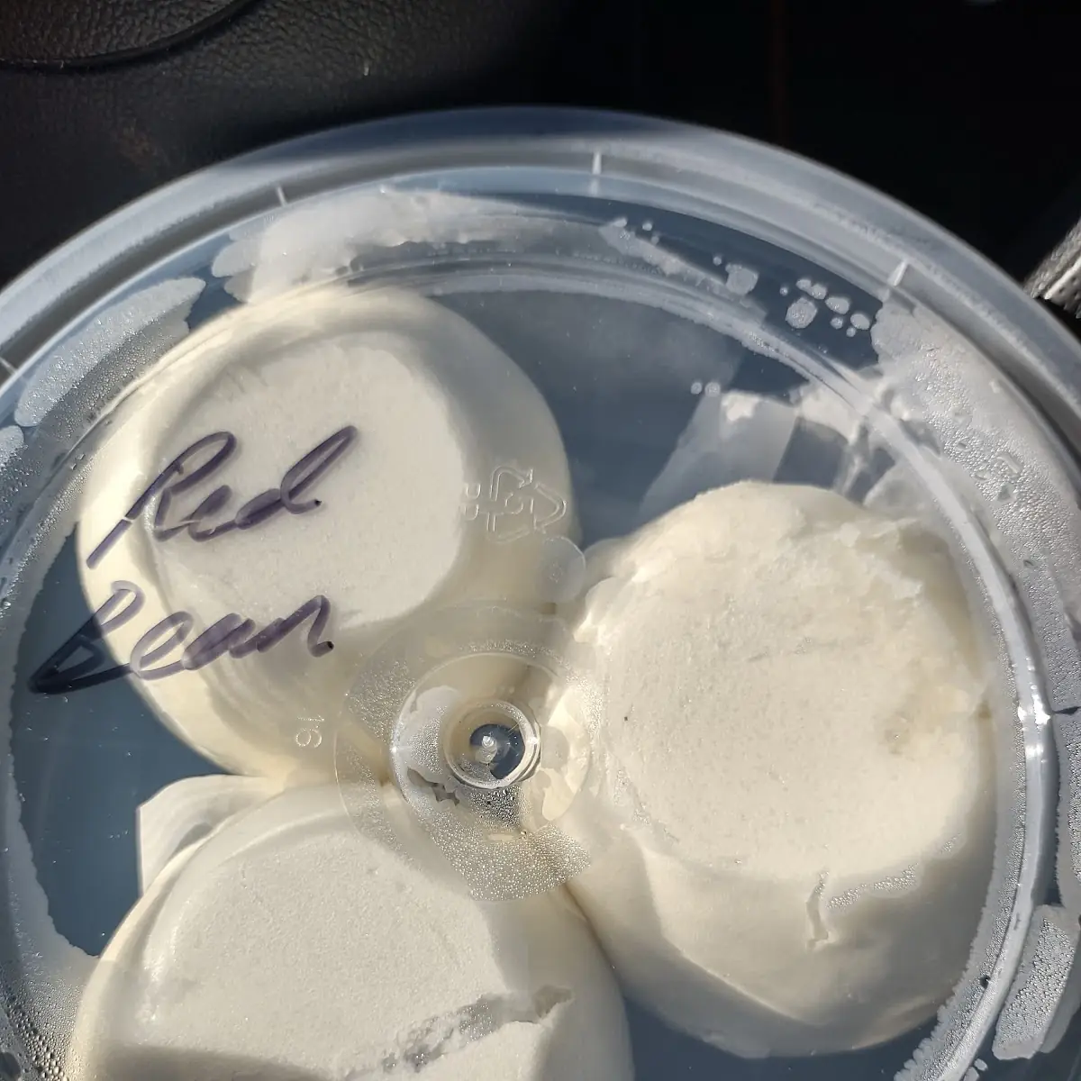 Steamed Red Bean Bao