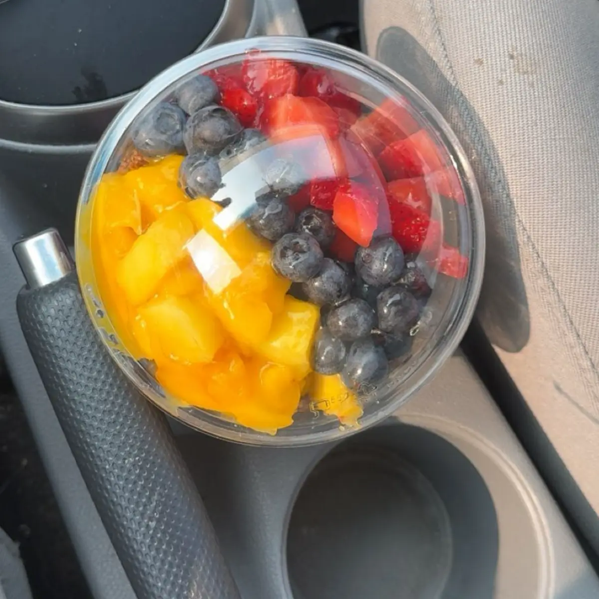Fresh Fruit