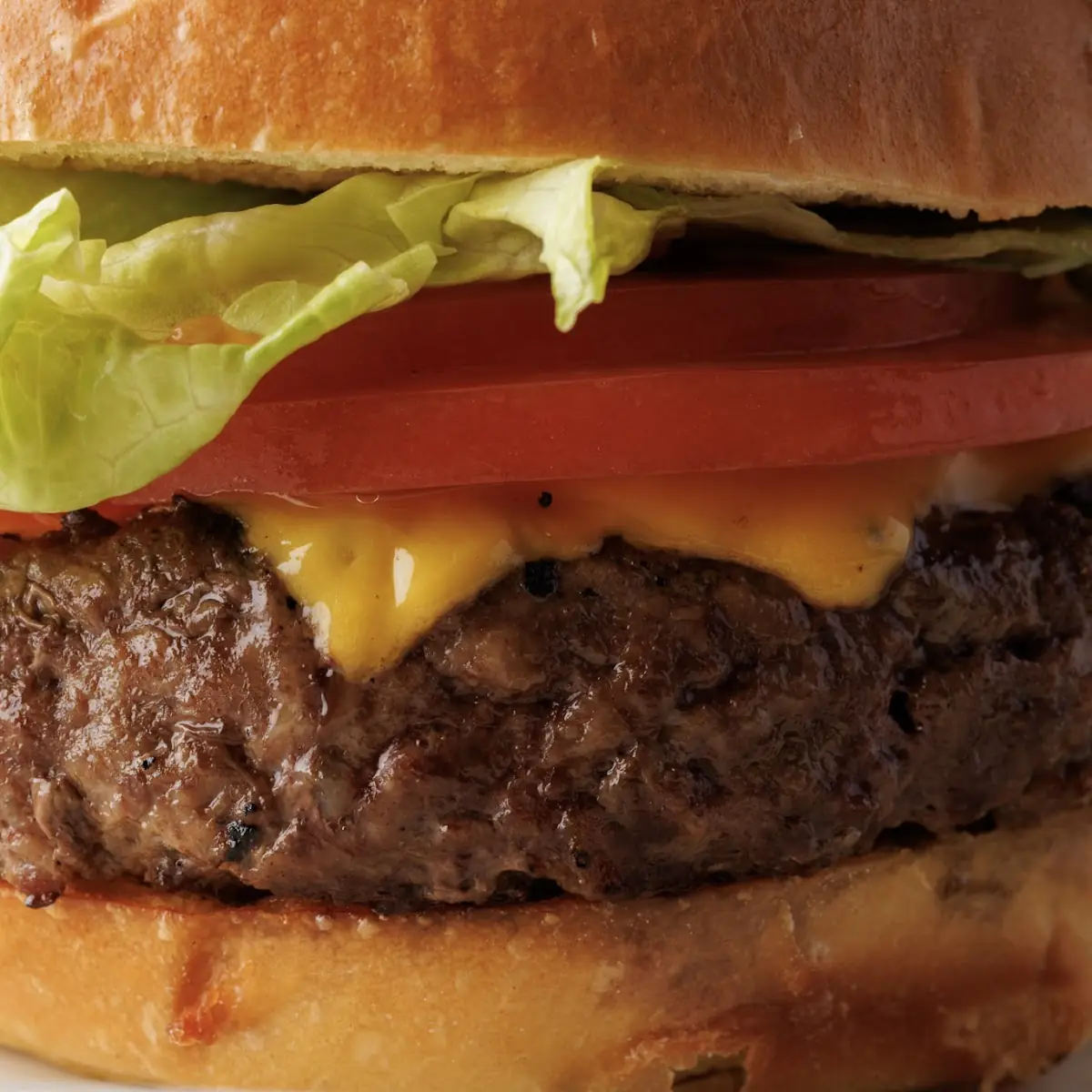 Sirloin Cheddar Cheese Burger