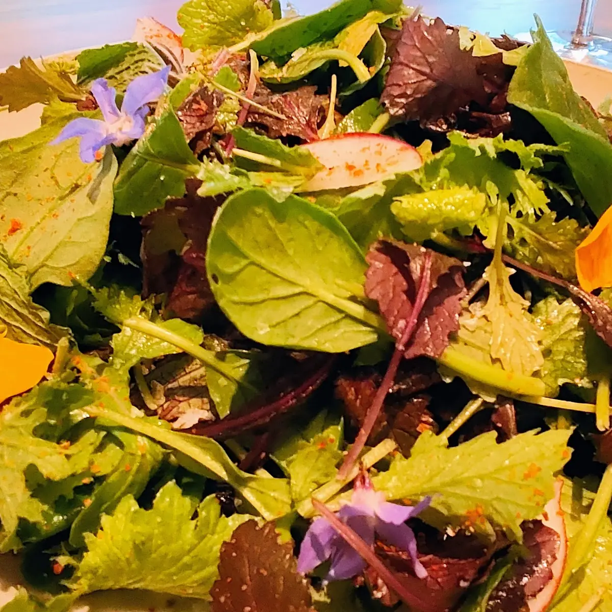 Weeds Salad