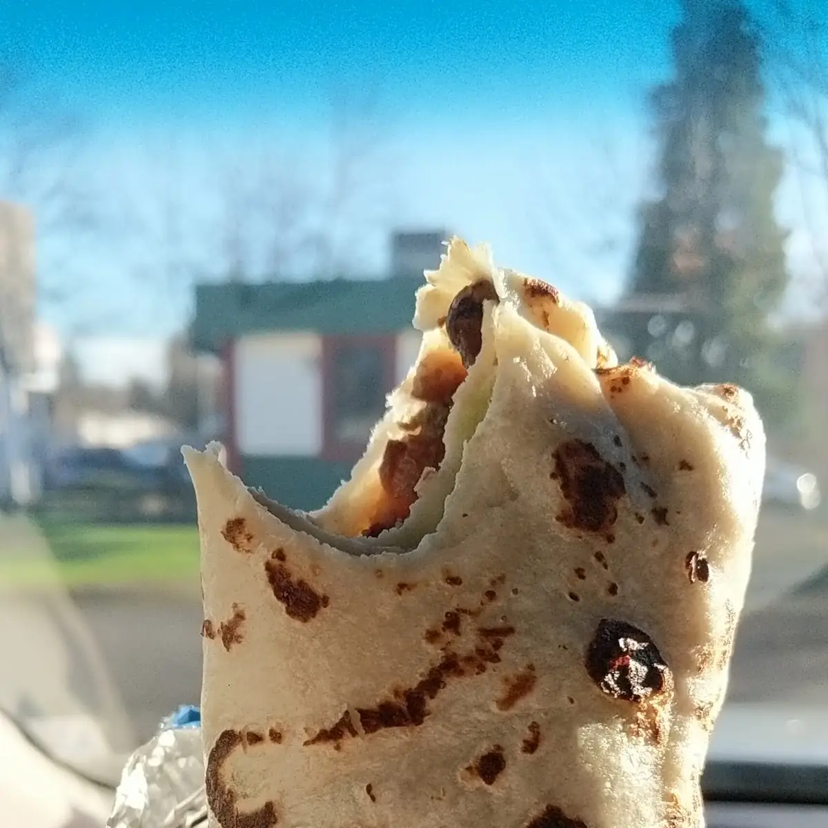 Carne Asada Burrito